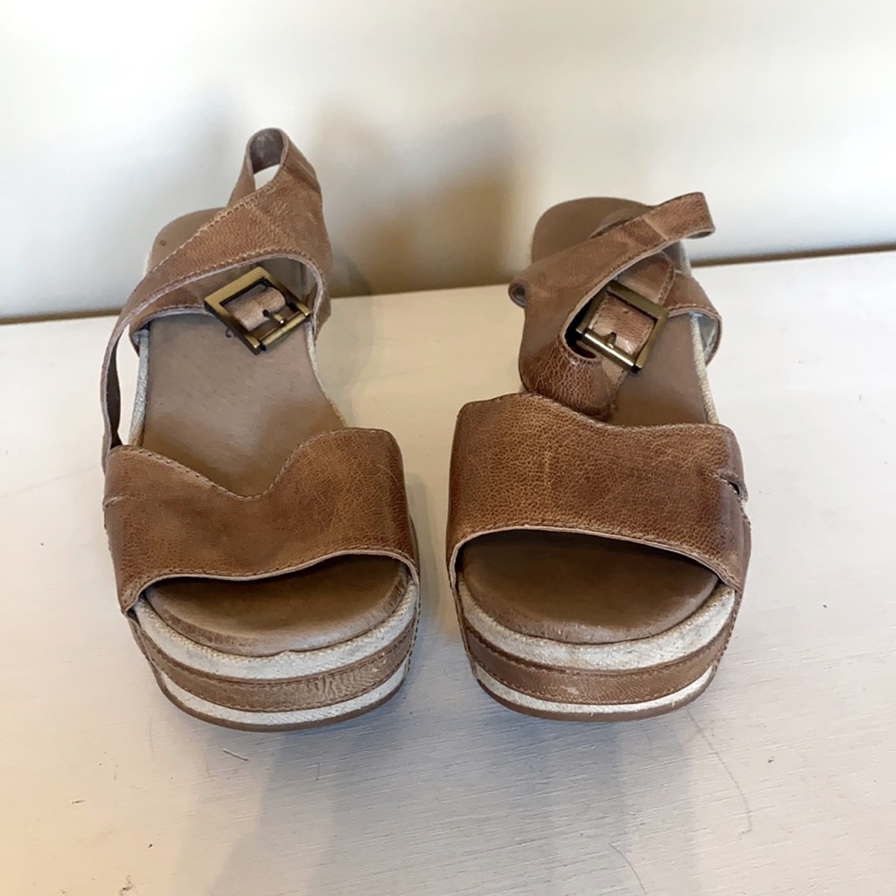 Antelope wedges
